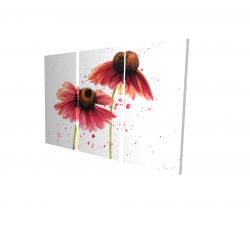 Canvas 24 x 36 - 3D - Two pink daisies