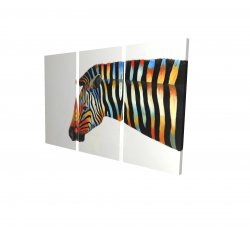 Colorful zebra