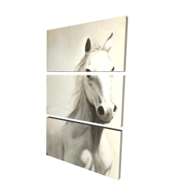 Gallant white horse