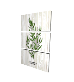 Estragon sur bois