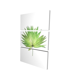 Canvas 24 x 36 - 3D - Petticoat palm