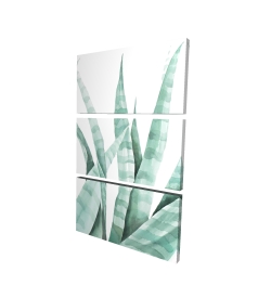 Watercolor striped desert plant