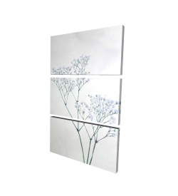 Baby's-breath flowers