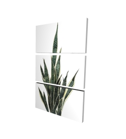 Toile 24 x 36 - 3D - Plante couteau