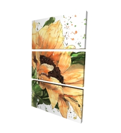 Sunflower in bloom