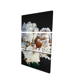Pivoine en floraison