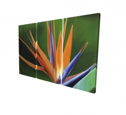 Canvas 24 x 36 - 3D - Bird of paradise flower 
