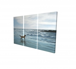 Chien à la plage