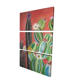 Cactus en arc-en-ciel