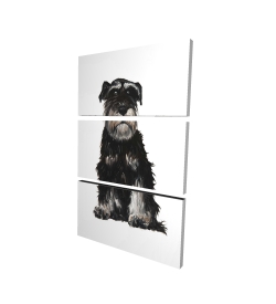 Schnauzer nain