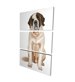 Saint-bernard