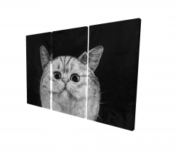 Canvas 40 x 60 - 3D - Watching cat
