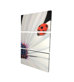 Canvas 40 x 60 - 3D - White daisy and ladybug