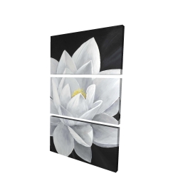 Overhead view of a lotus flower