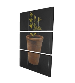 Plant of marjolaine