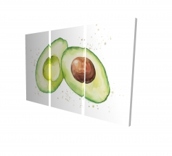 Avocat ouvert à l'aquarelle