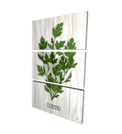 Coriandre sur bois