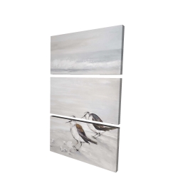 Deux oiseaux bécasseau