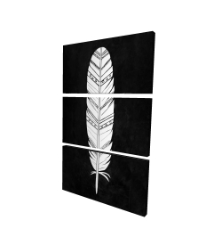 Native american feather