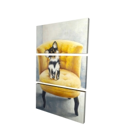 Long-haired chihuahua on a yellow armchair