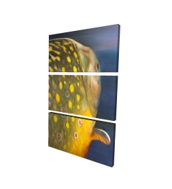 Canvas 40 x 60 - 3D - Golden trout fish