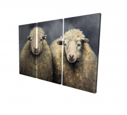 Canvas 24 x 36 - 3D - Wool sheeps