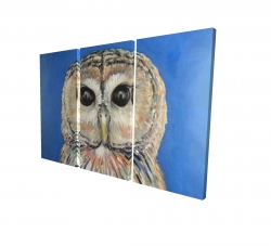 Colorful spotted owl
