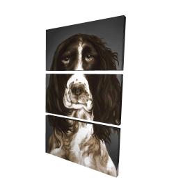 Springer spaniel anglais brun