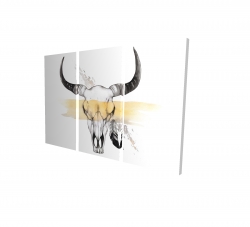 Cow skull with feather