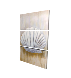 Canvas 24 x 36 - 3D - Feston shell
