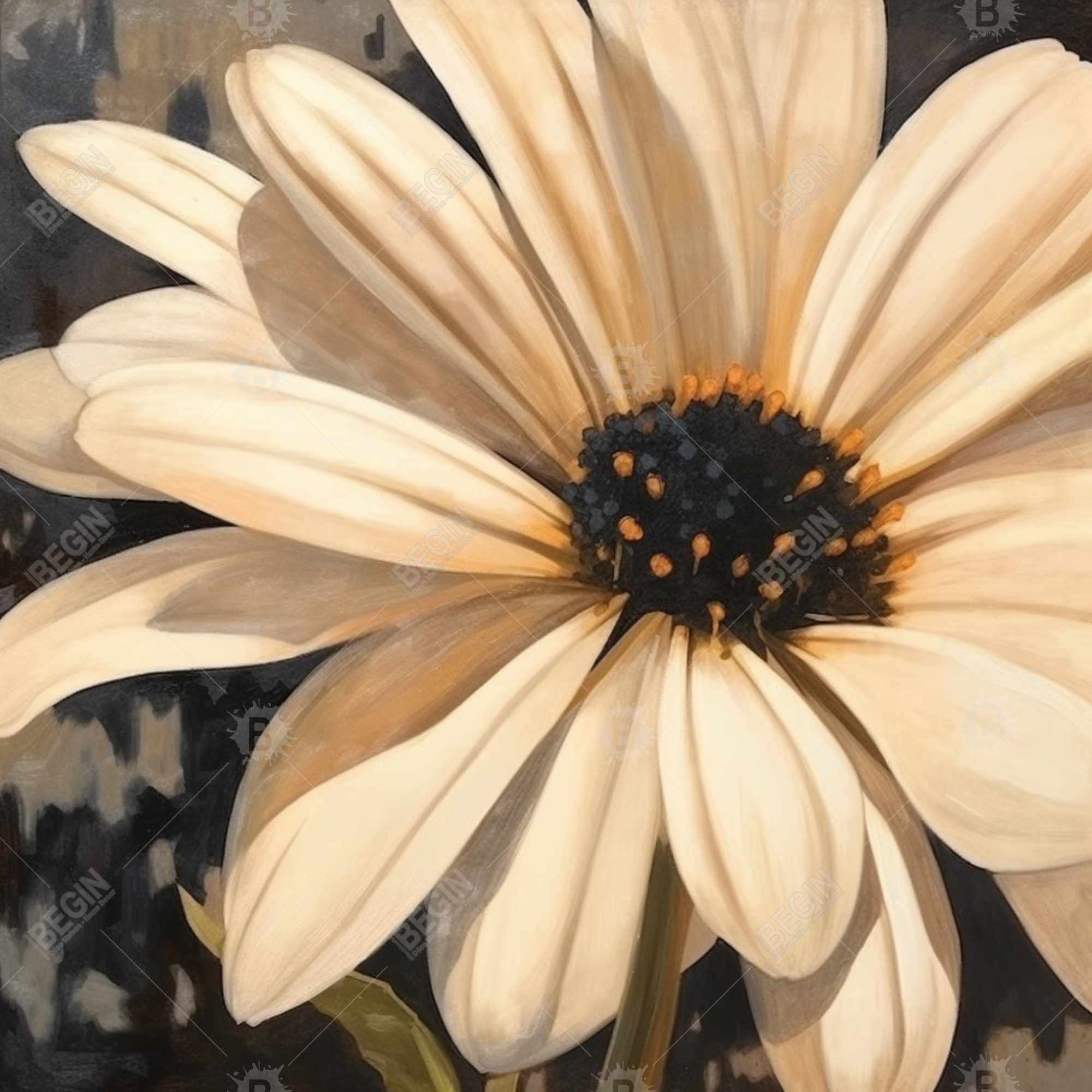 Marguerite ouverte