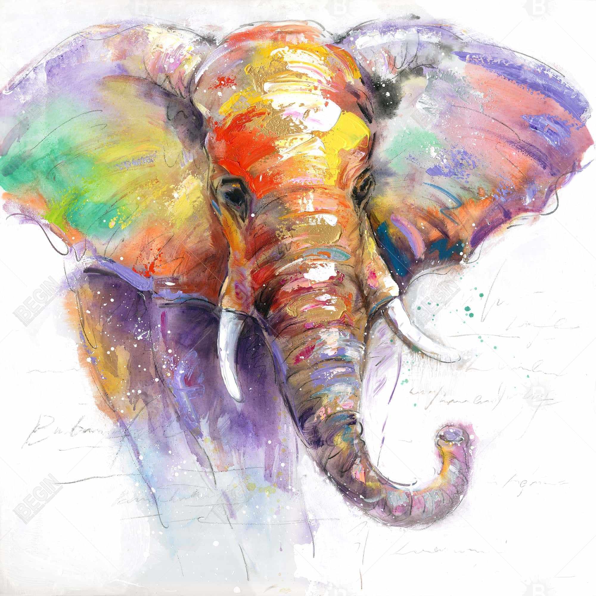 Beautiful and colorful elephant