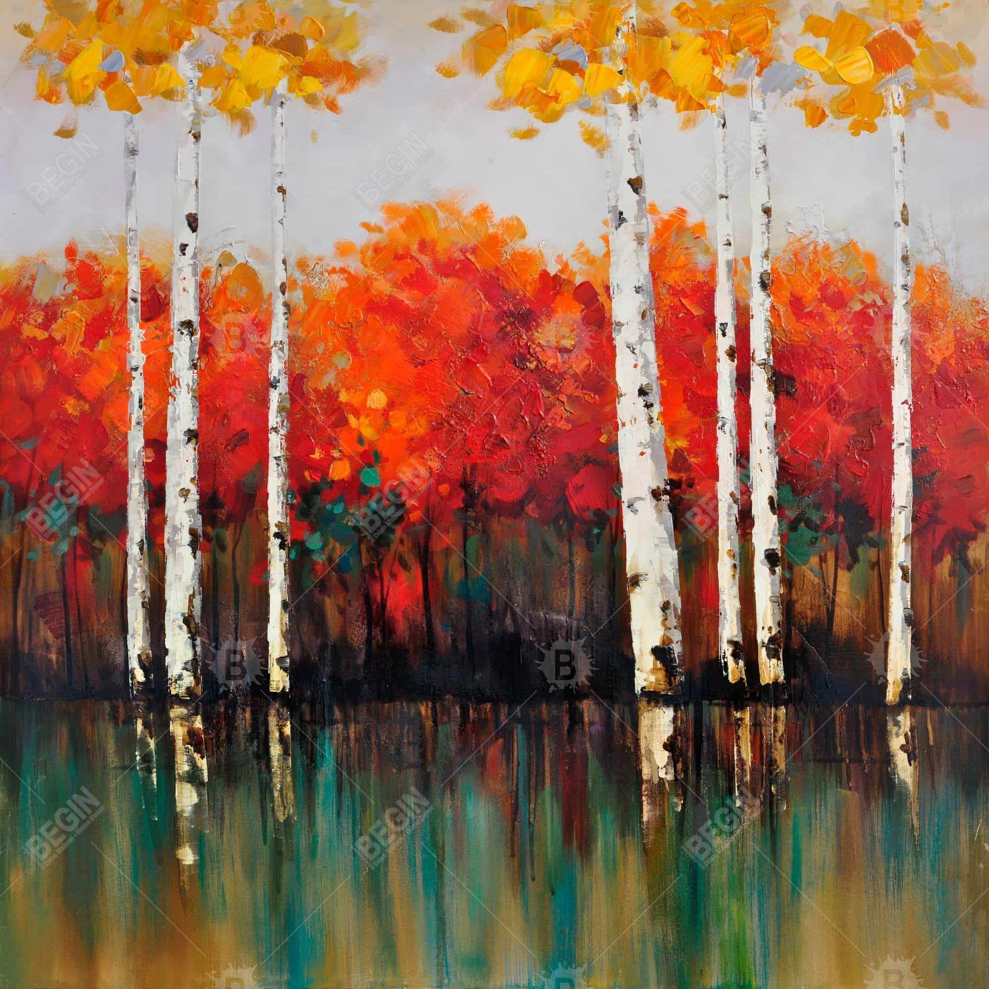 Bouleaux en automne