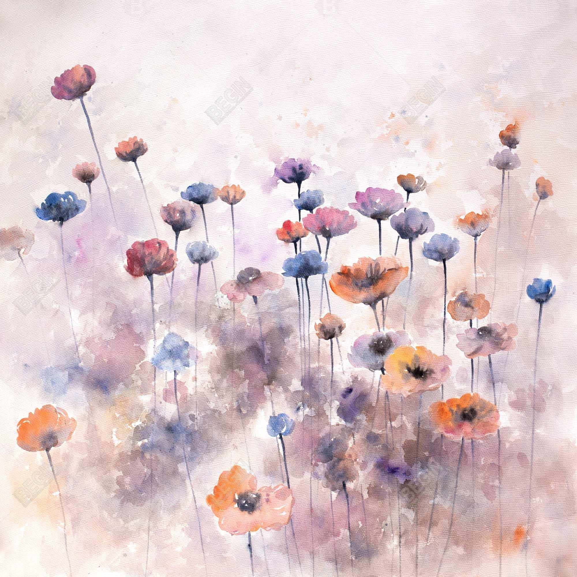 Petites fleurs sauvages