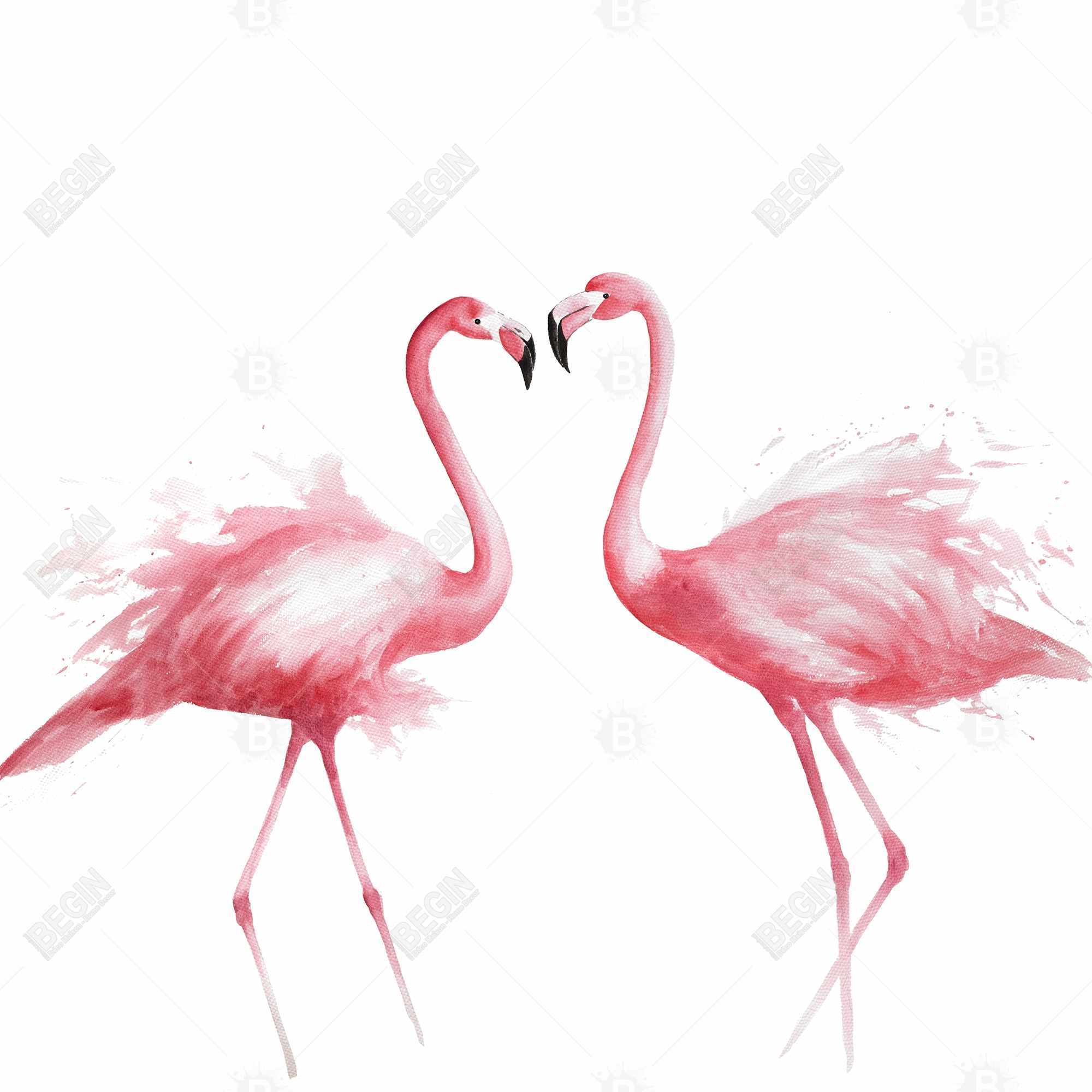 Two pink flamingo watercolor