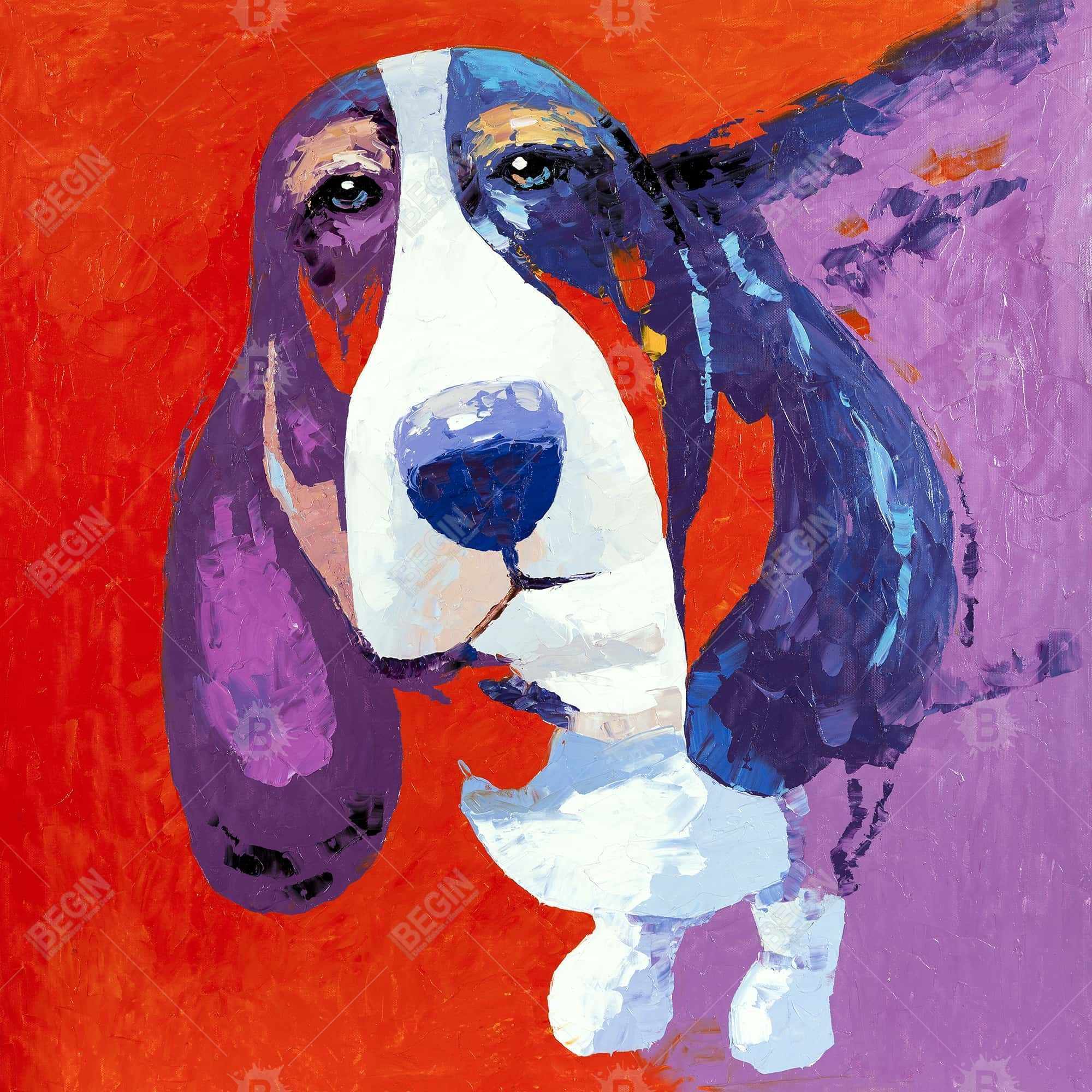 Abstract colorful basset dog