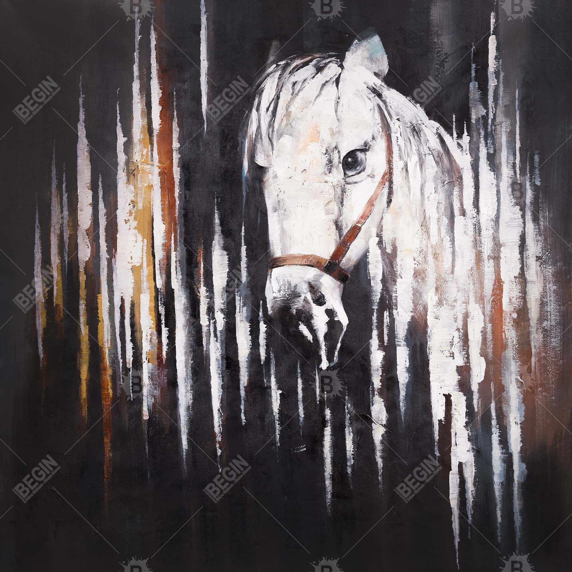 White horse in the dark
