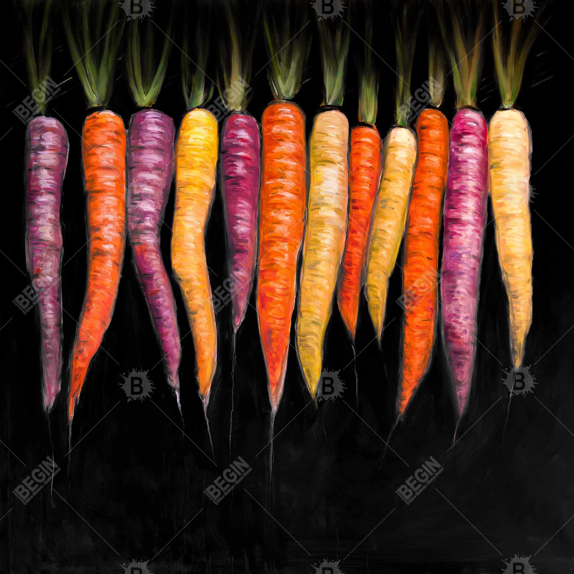 Carrots varieties