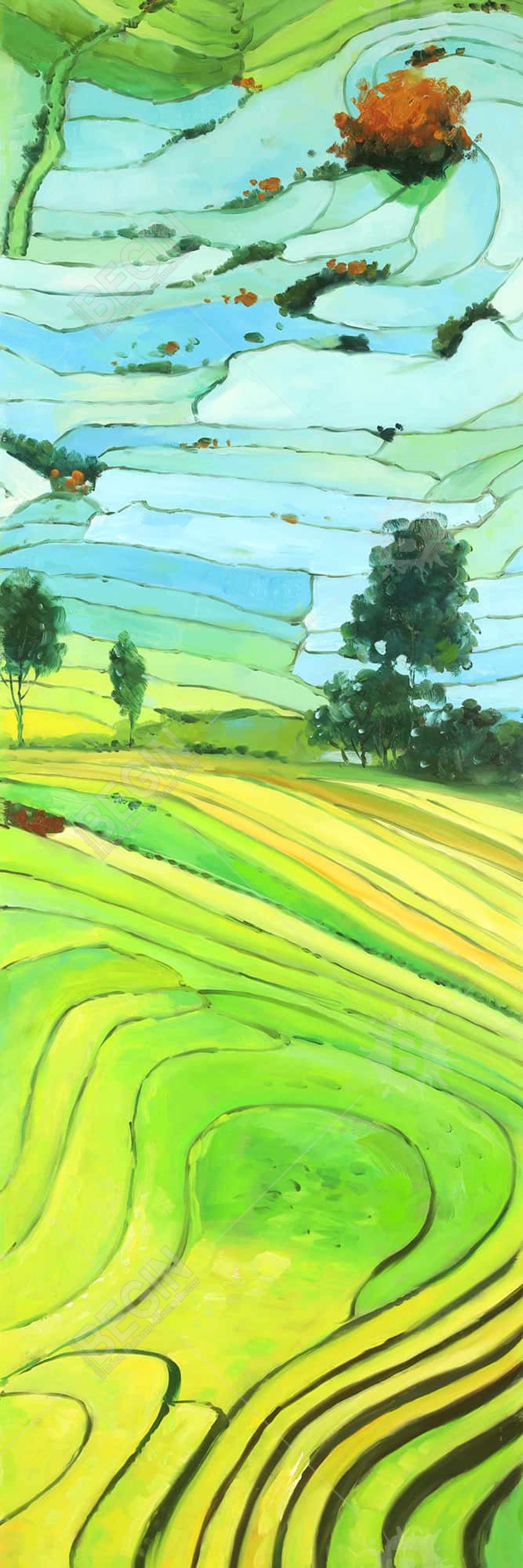 Rice fields of vietnam