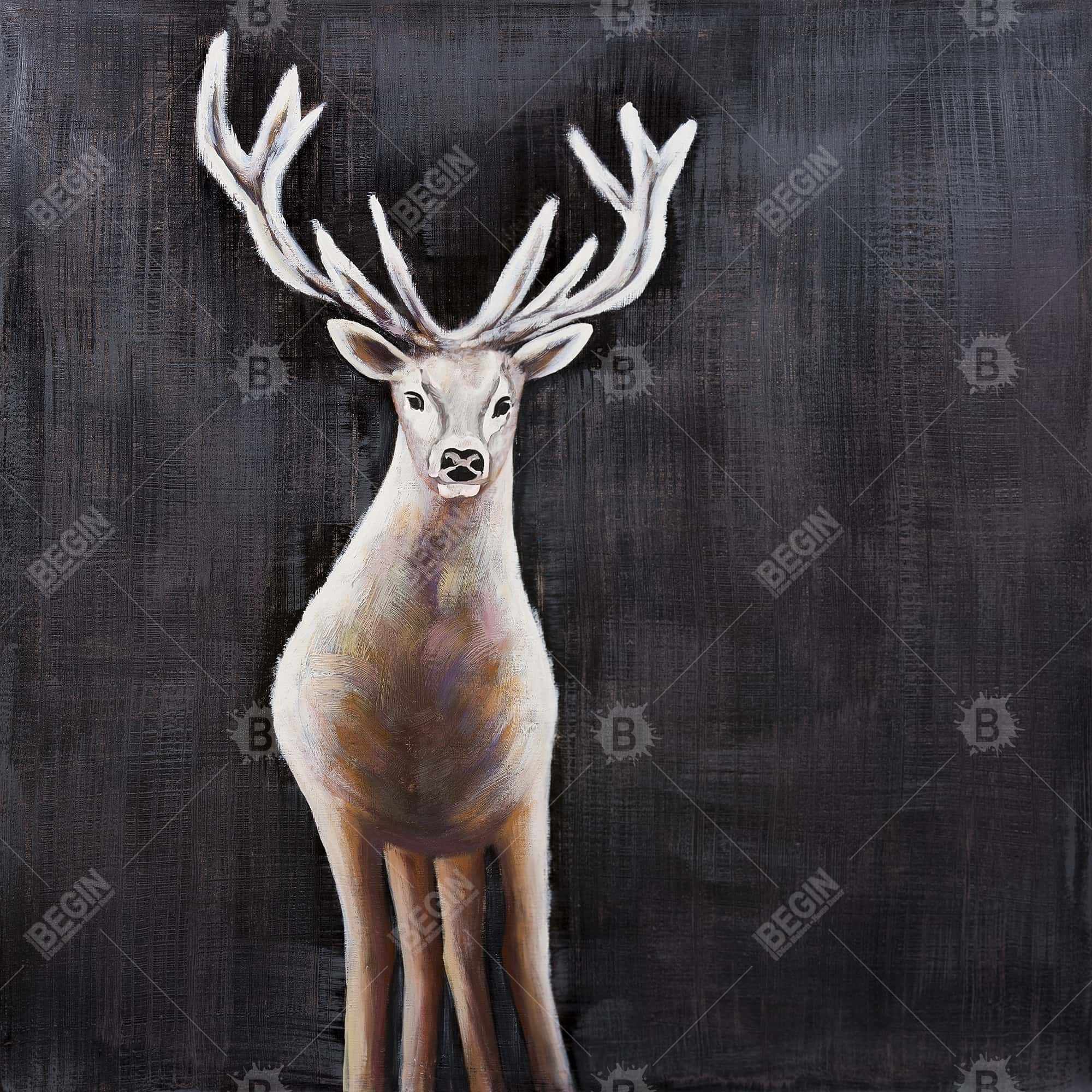 Lonely deer