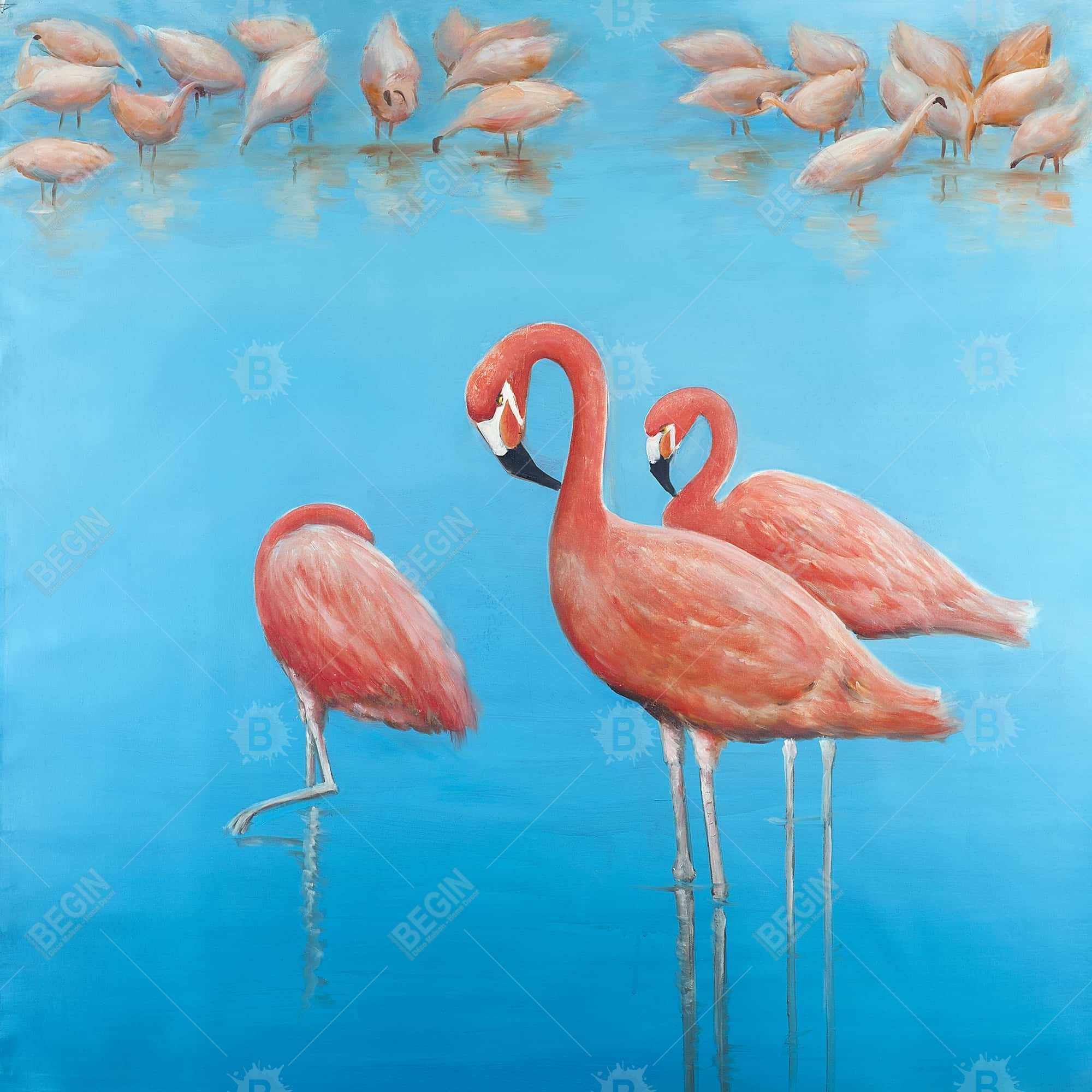 Group of flamingos