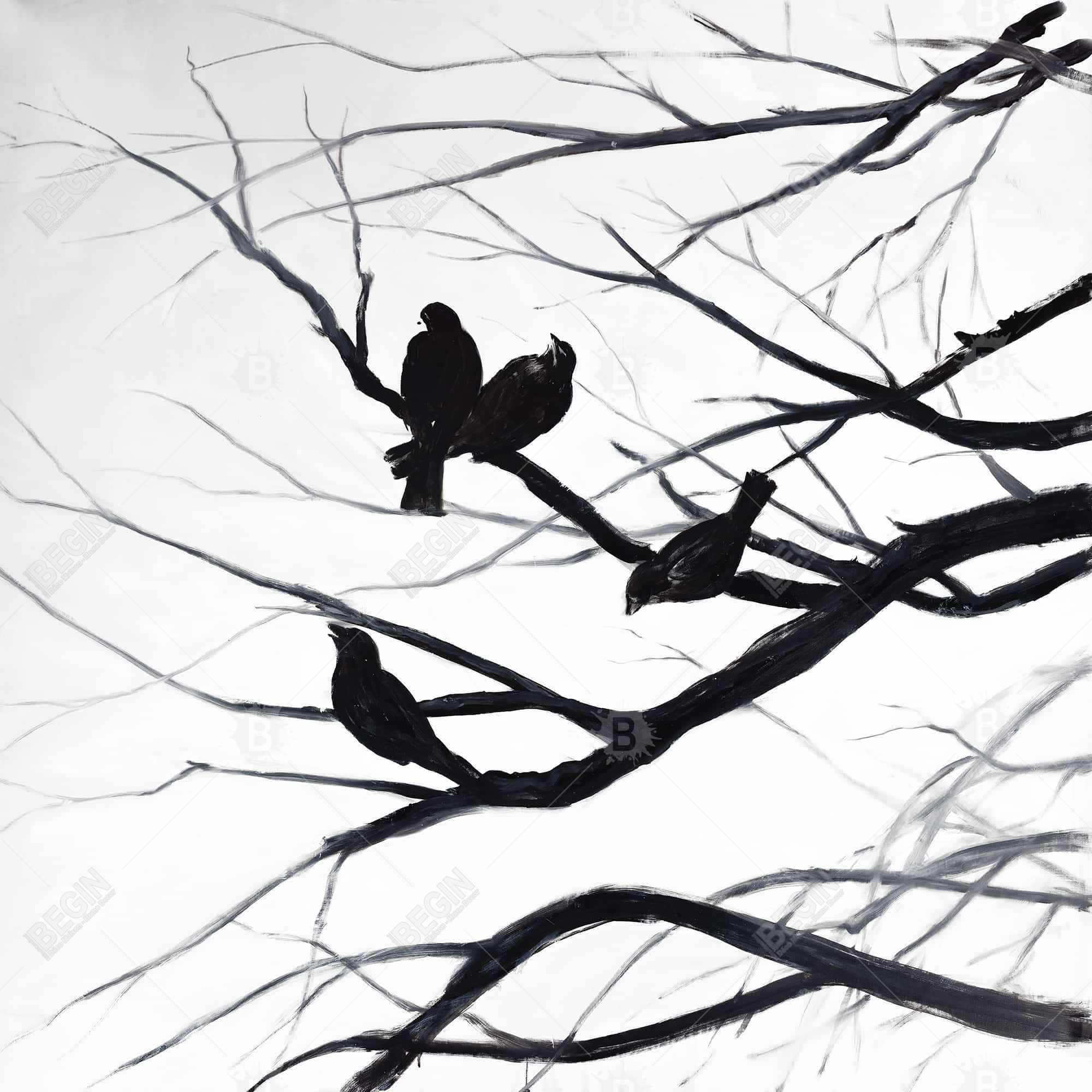 Birds and branches silhouette