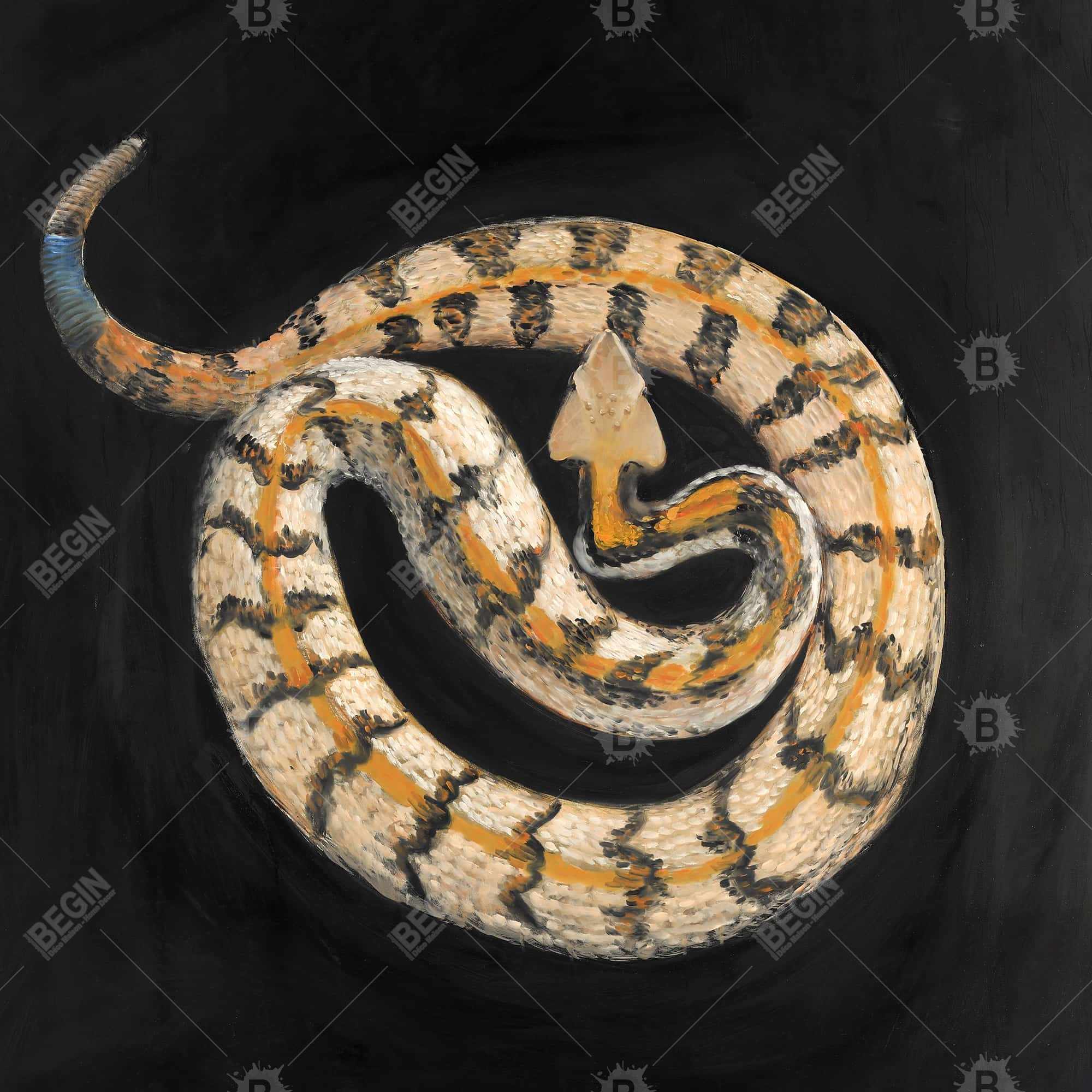 Southern timber rattlesnake