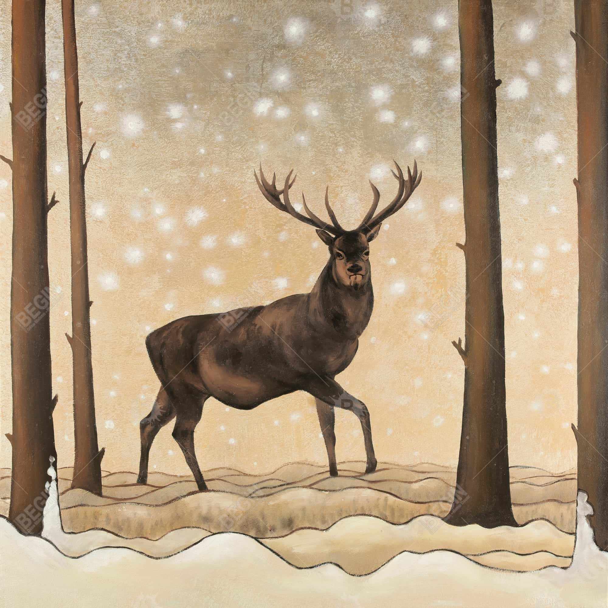 Roe deer in a winter landscape