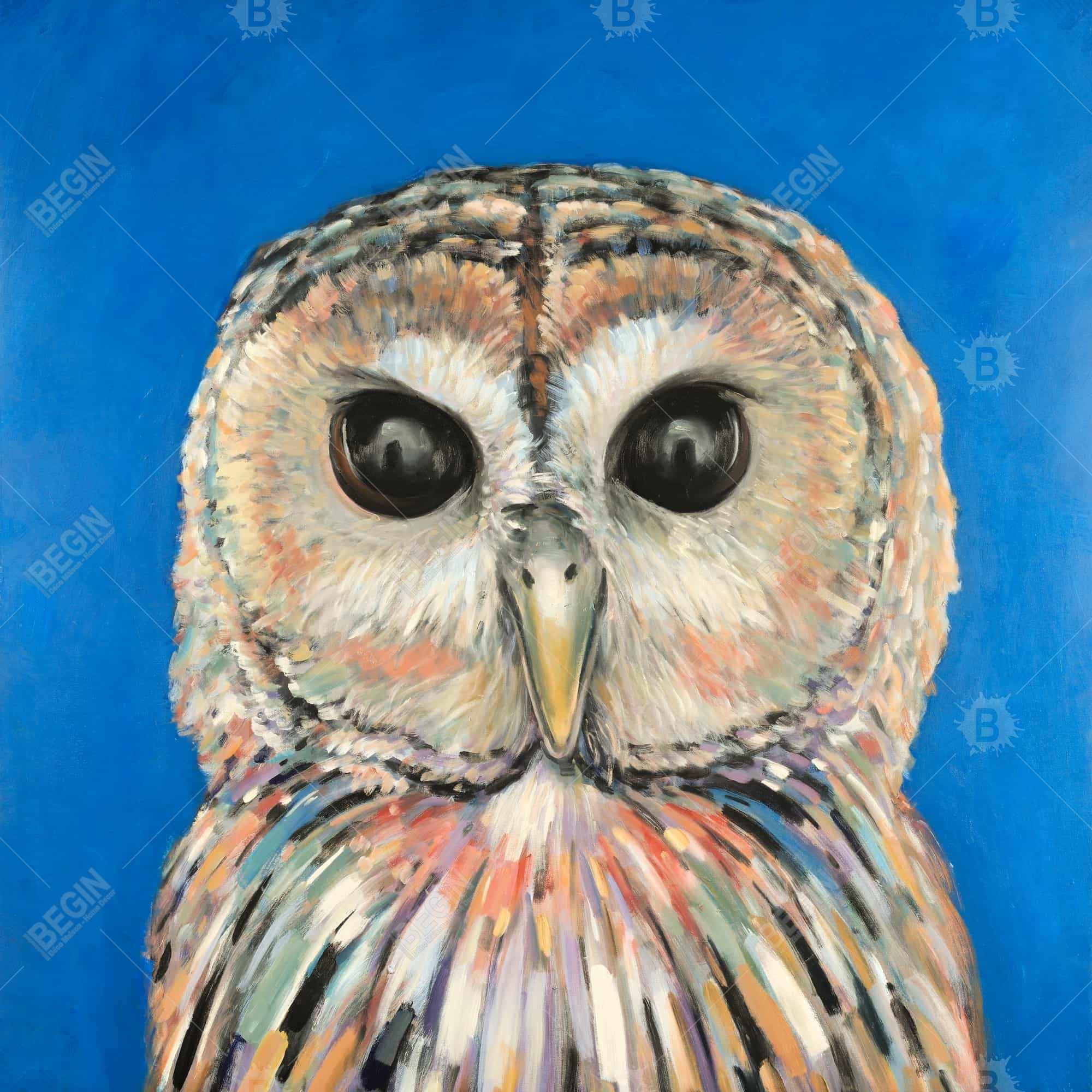 Colorful spotted owl