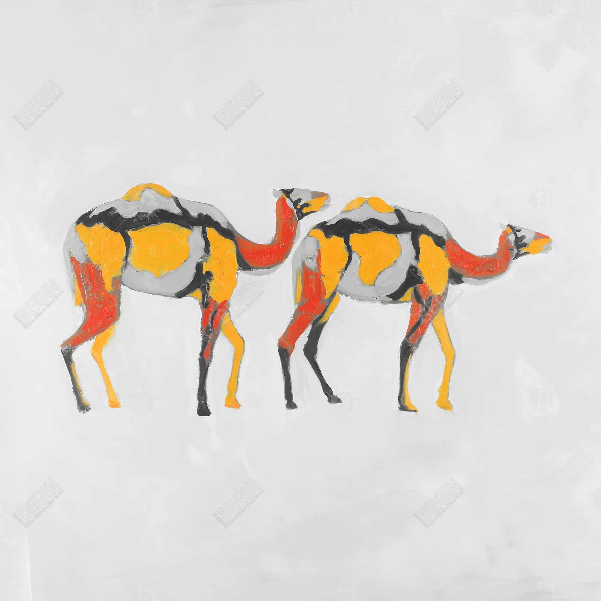 Abstract dromedaries