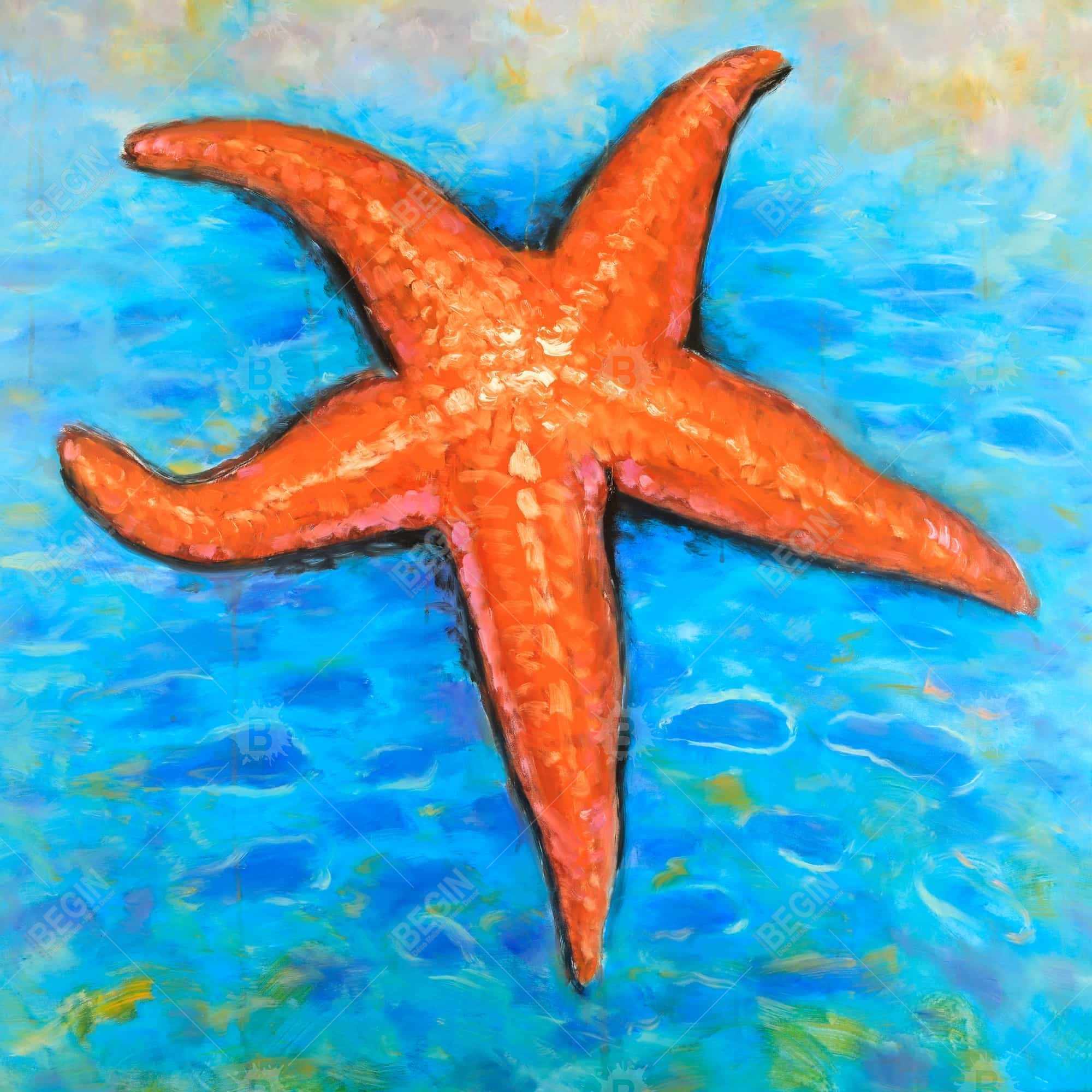 Starfish in the sea