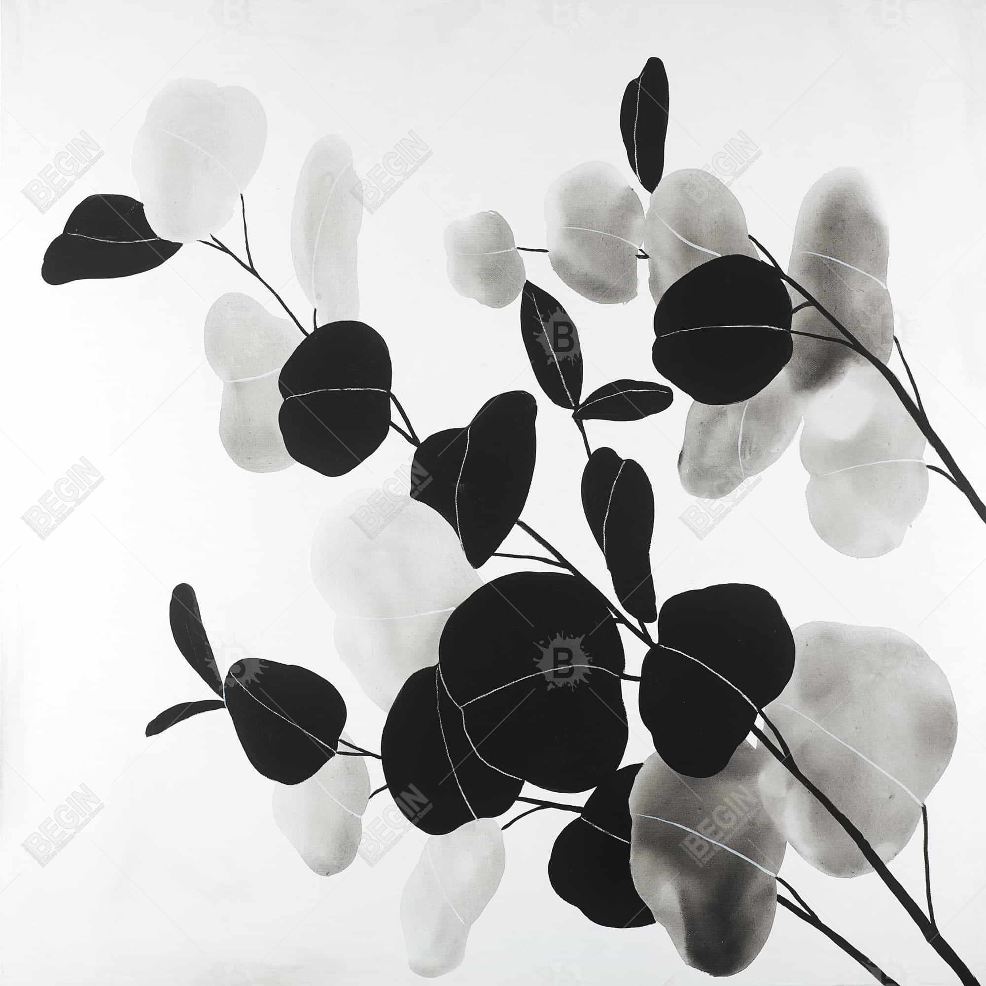 Branches et feuilles rondes