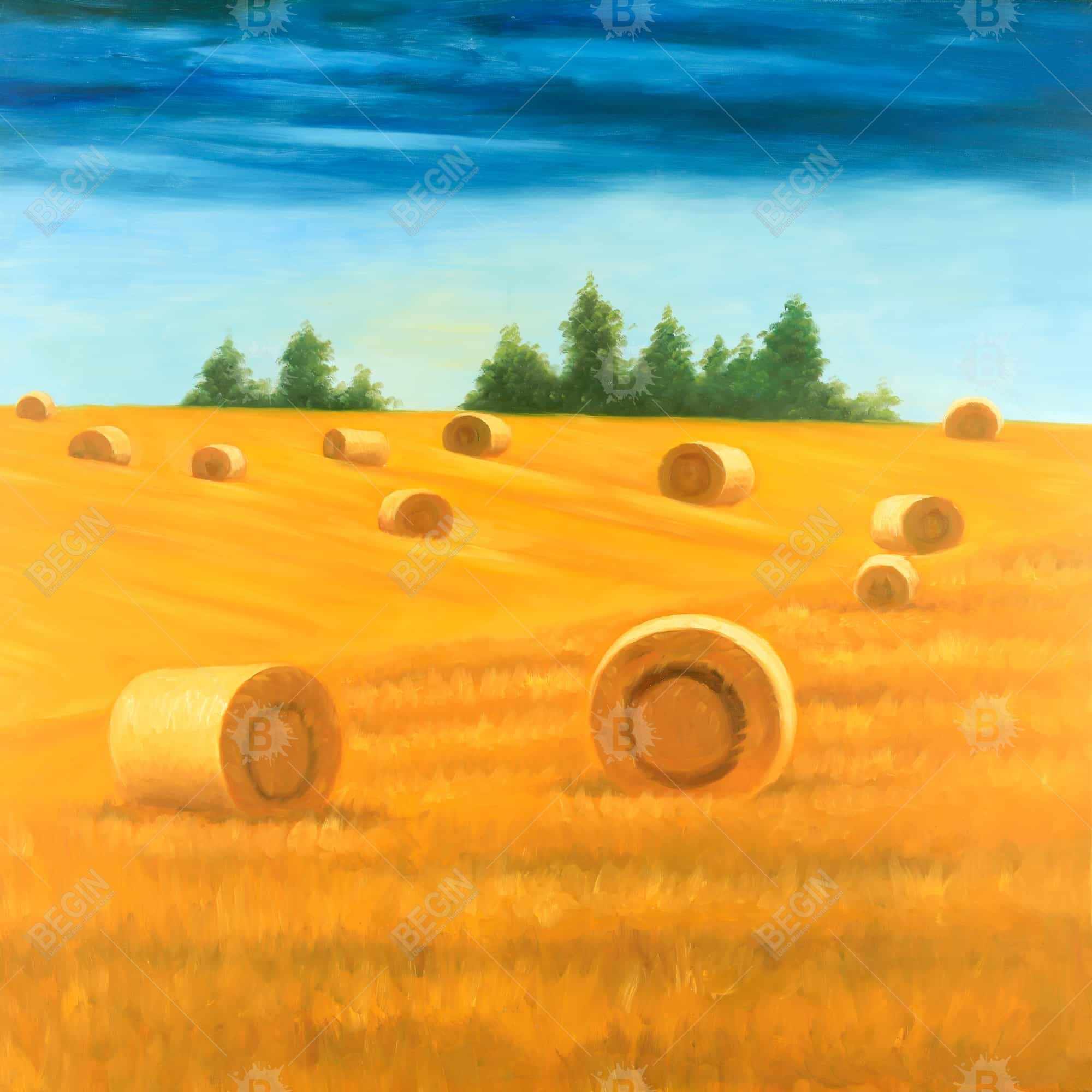Paysage de la campagne
