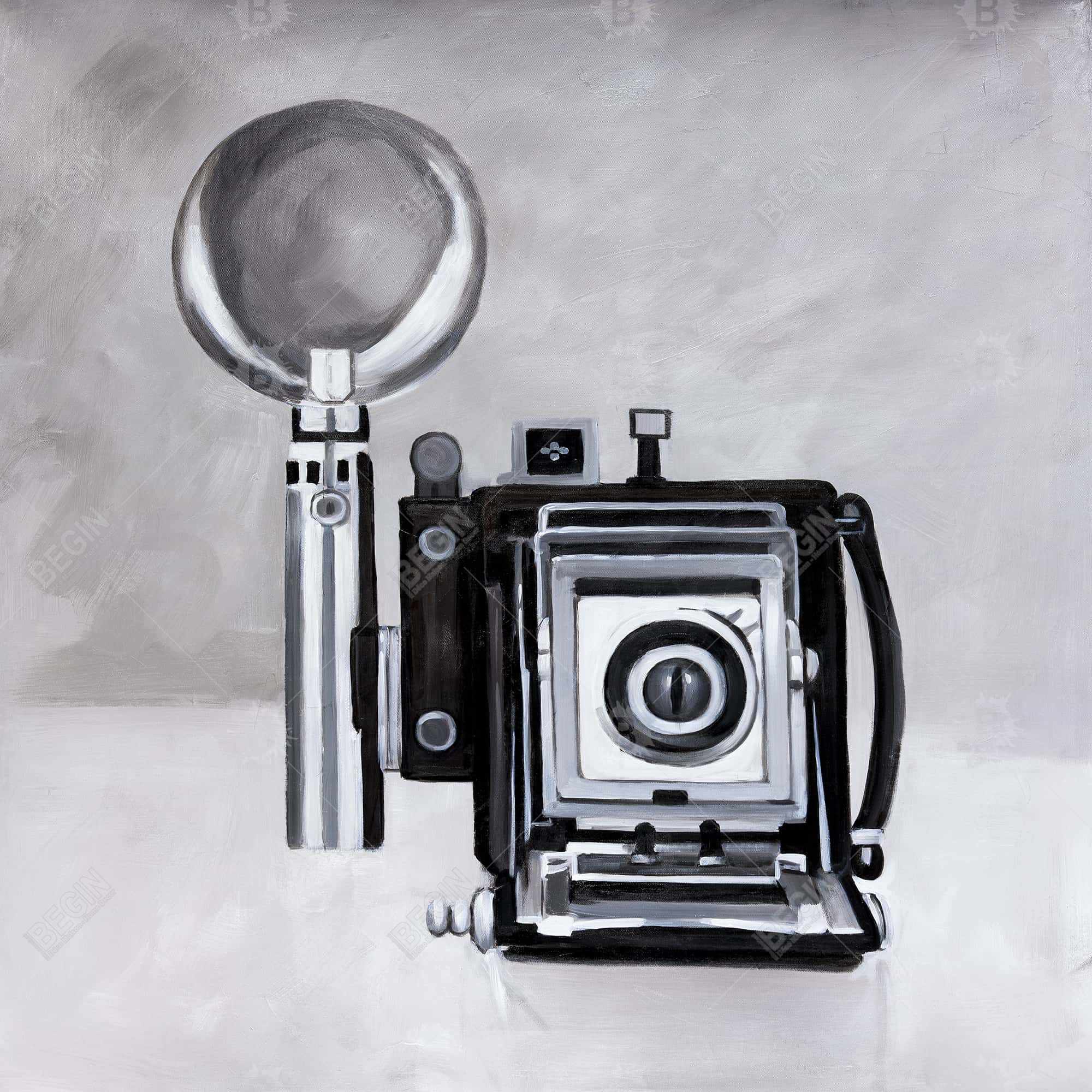 Antique camera